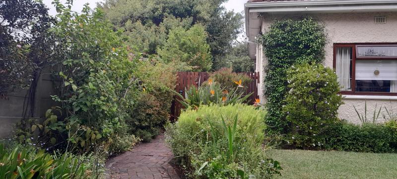 To Let 1 Bedroom Property for Rent in Rondebosch Western Cape